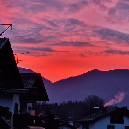 Zum Franziskaner グライナウ エクステリア 写真