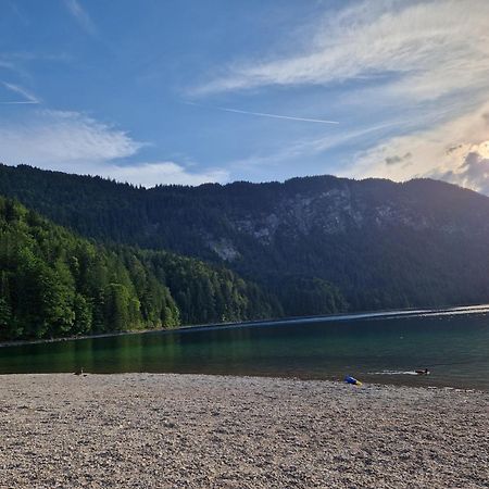 Zum Franziskaner グライナウ エクステリア 写真