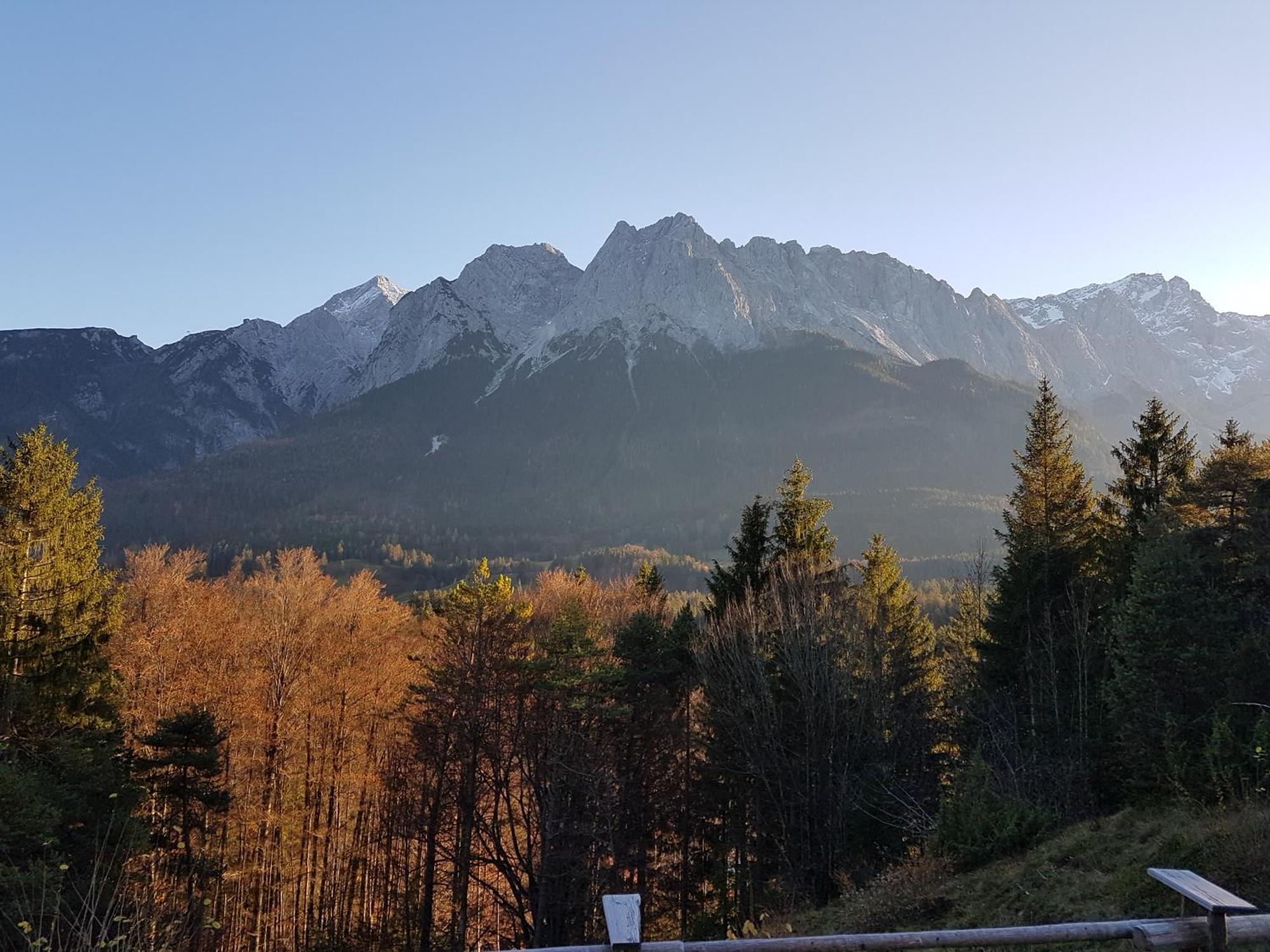 Zum Franziskaner グライナウ エクステリア 写真