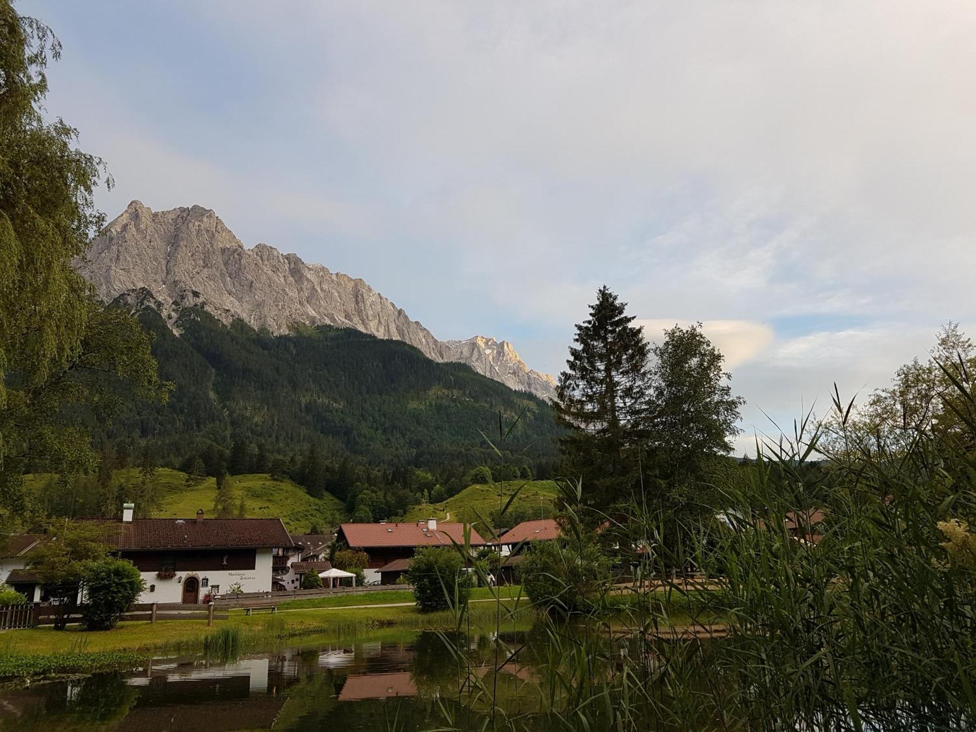 Zum Franziskaner グライナウ エクステリア 写真