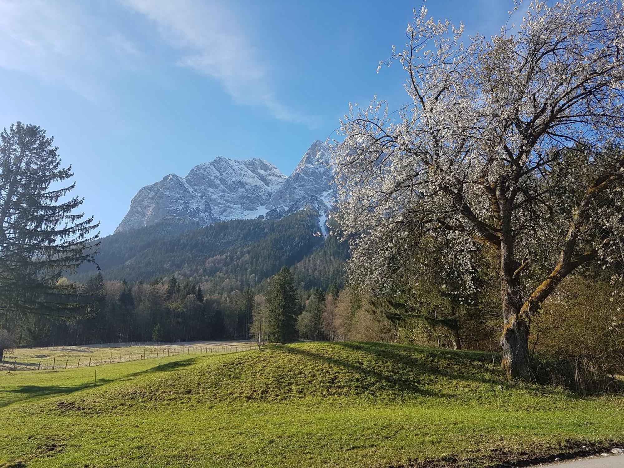 Zum Franziskaner グライナウ エクステリア 写真