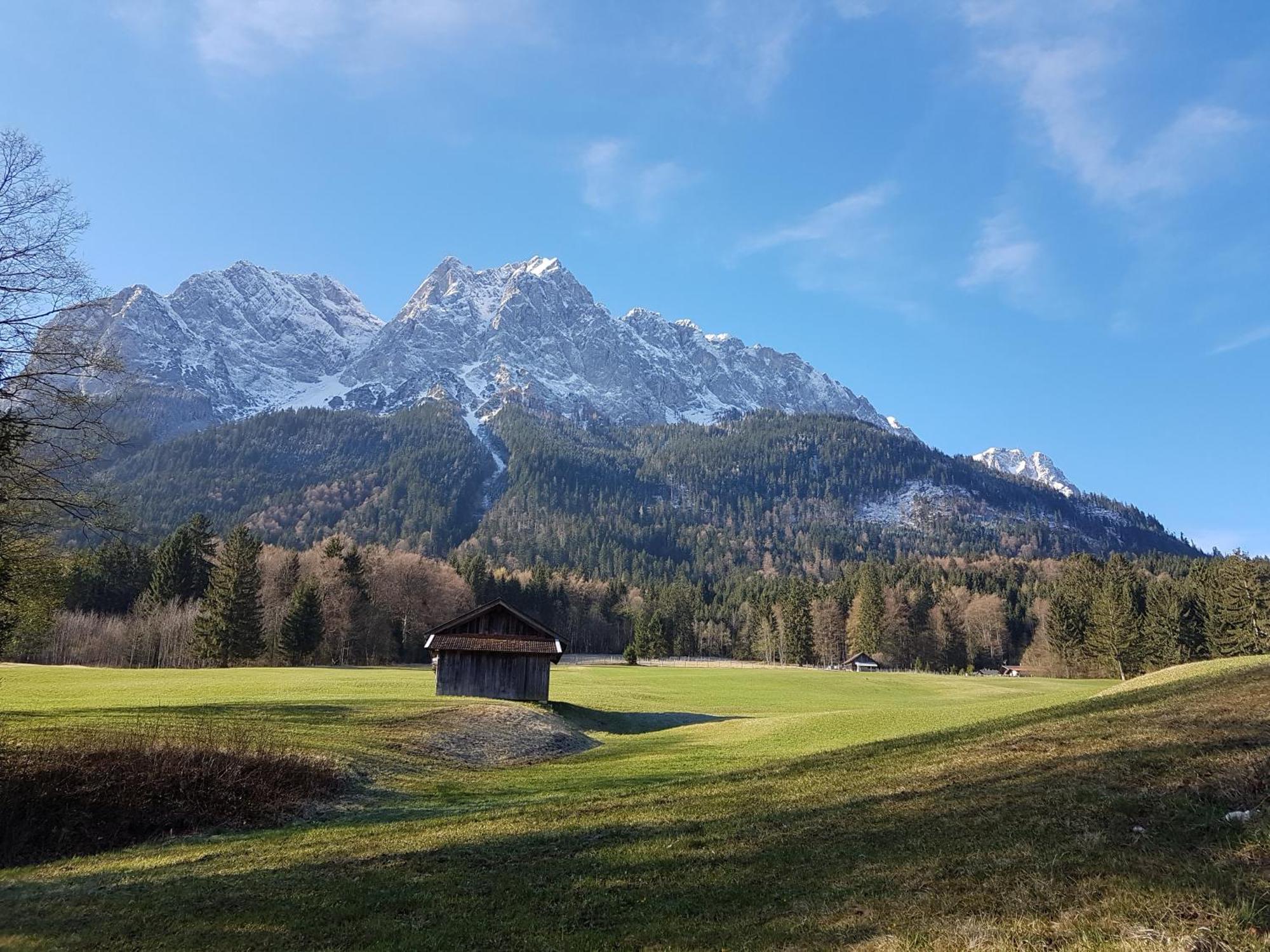 Zum Franziskaner グライナウ エクステリア 写真